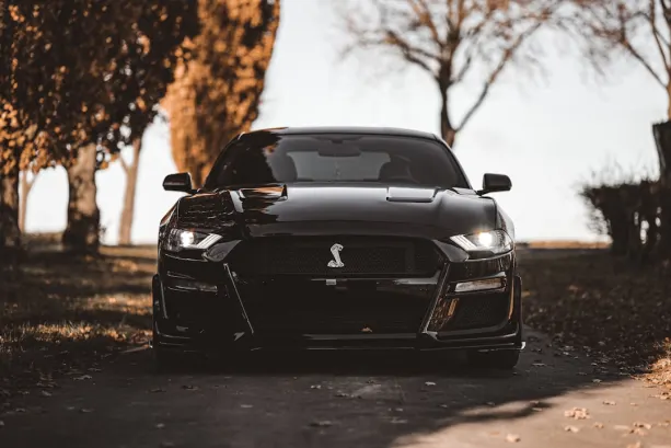 كازينو777 كازينو تطبيق أندرويد/آي أو إس